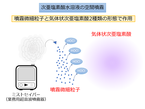 2形態で作用の画像