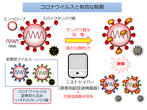 コロナの仕組みと有効な除菌の画像